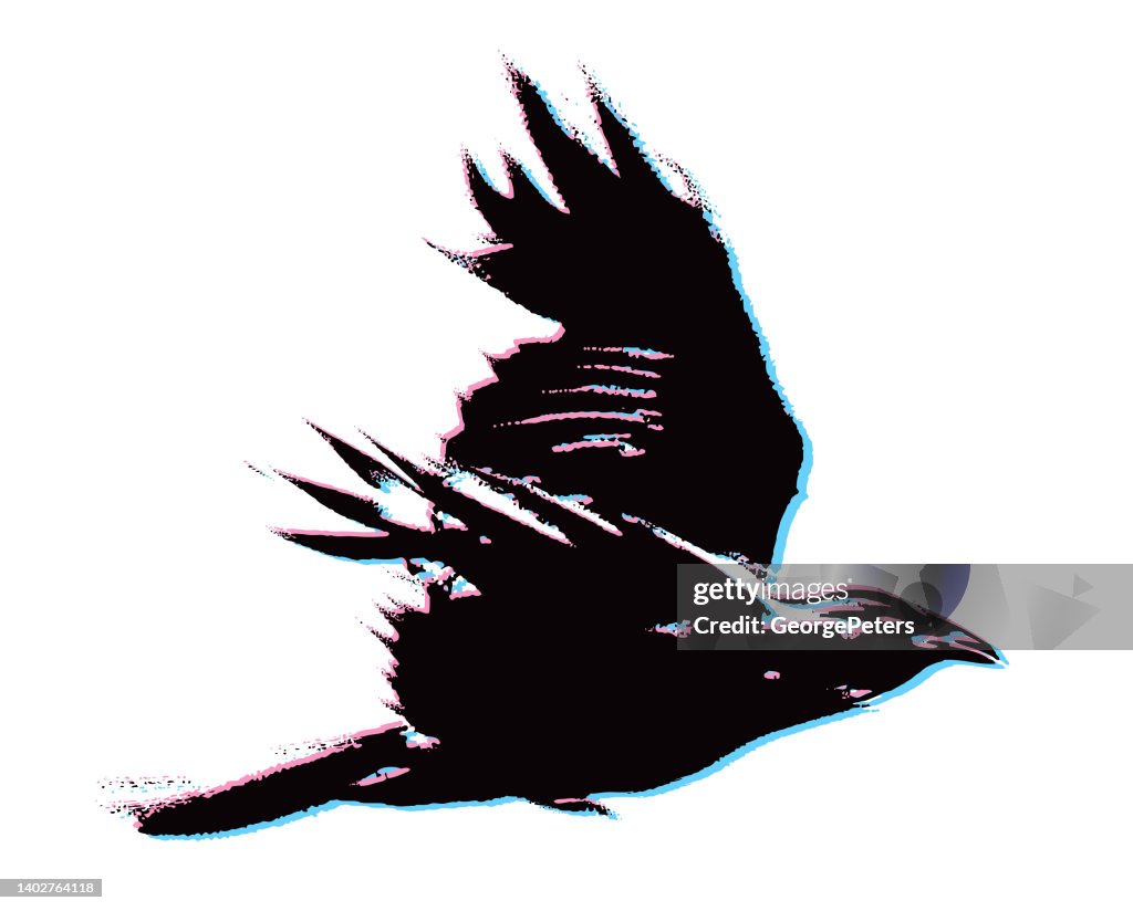 Stereoscopic Crow in flight