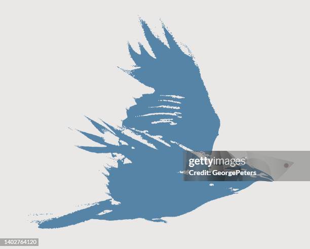 crow in flight - crow logo stock illustrations