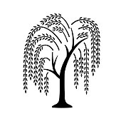 Willow tree. Black icon with tree. Vector illustration isolated on white background.
