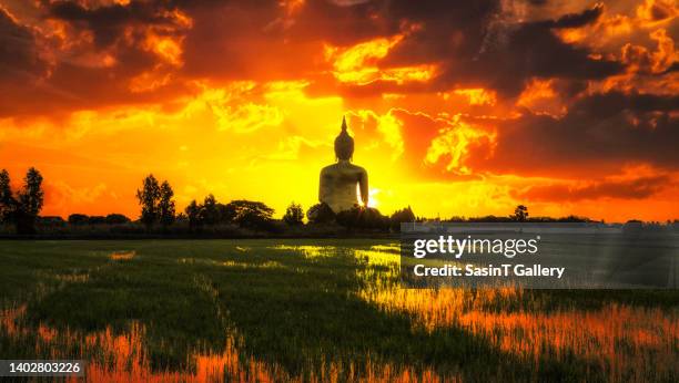 the big golden buddha on sunrise - giant buddha stock pictures, royalty-free photos & images