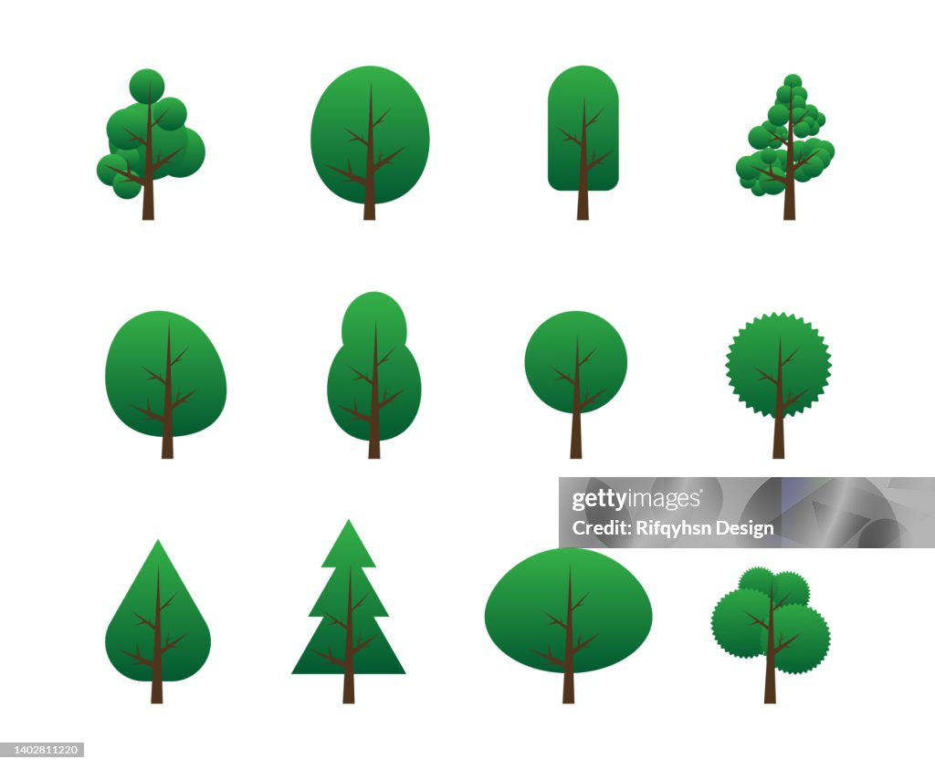 Various Tree Vectors Forest And Nature Concept Collection Of Different ...
