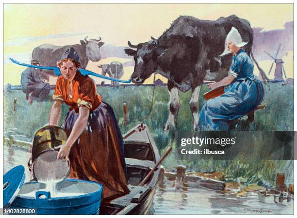 antique illustration: edam cheese making, netherlands - cheese production in netherlands stock illustrations