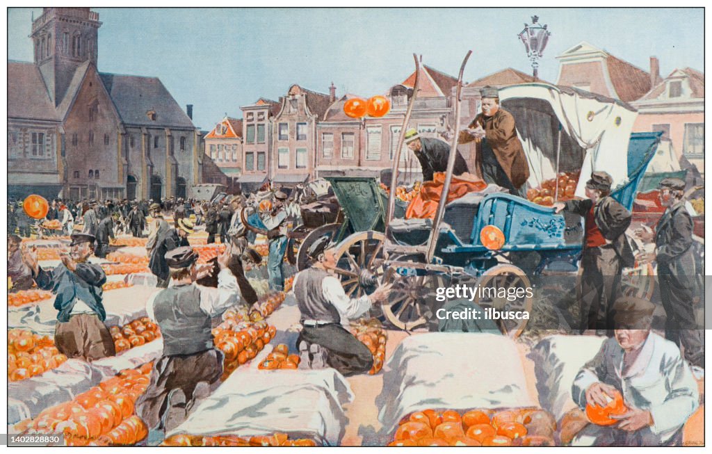 Antique illustration: Edam cheese making, Netherlands