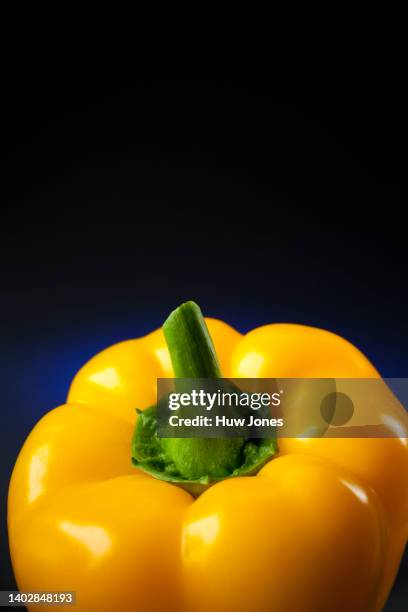 close up yellow pepper on a plain background - gelbe paprika stock-fotos und bilder
