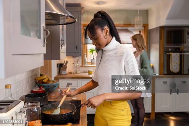 stirring the curry - geographical locations stock pictures, royalty-free photos & images