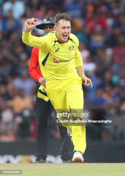 Marnus Labuschagne of Australia celebrates after taking the wicket Chamika Karunaratne of Sri Lankan during the 1st match in the ODI series between...