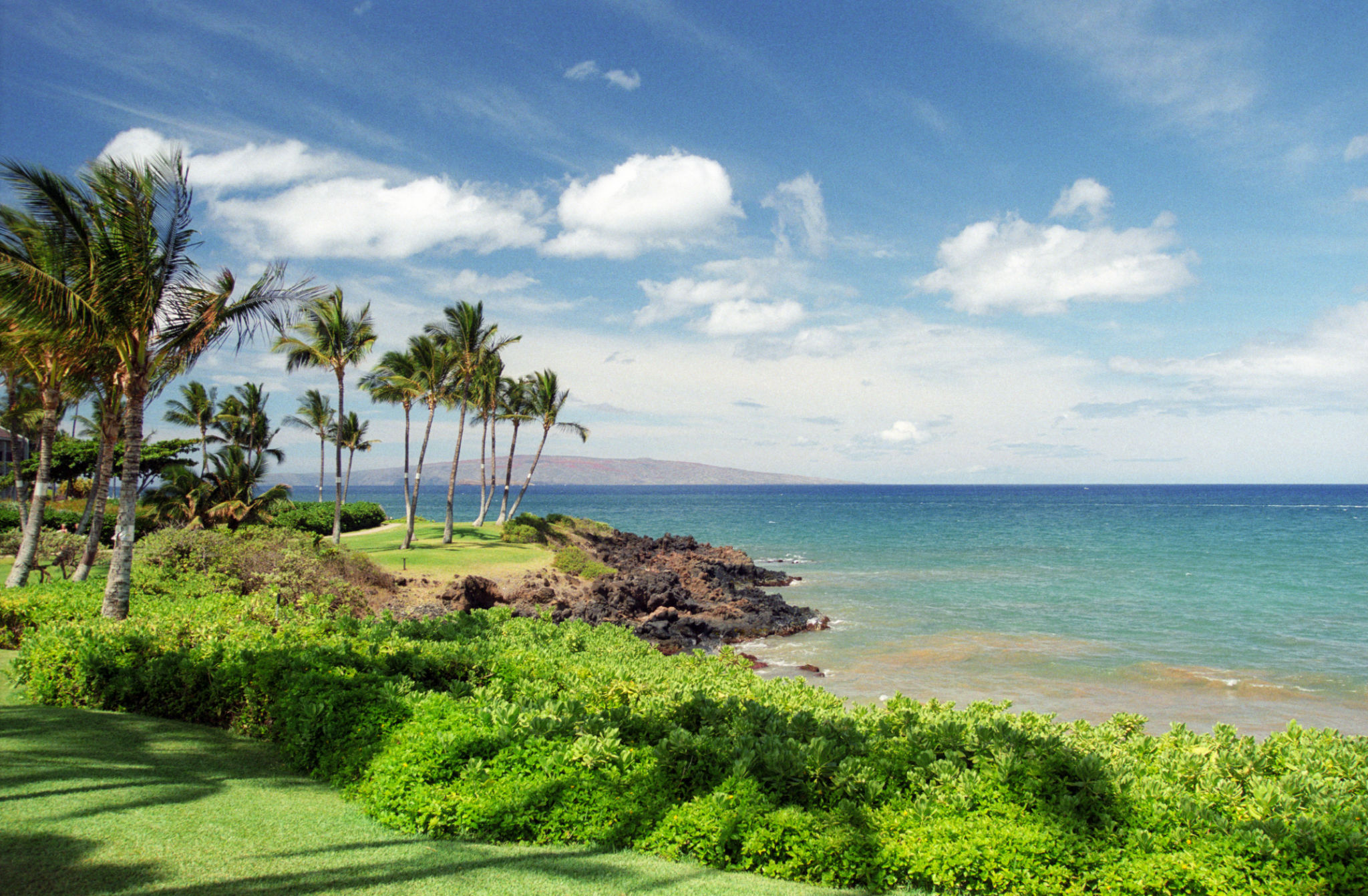 hawaii landscape equipment