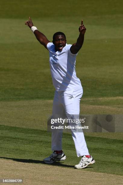 Keith Barker of Hampshire appeals unsuccessfully for a catch behind against Adam Lyth of Yorkshire during the LV= Insurance County Championship match...