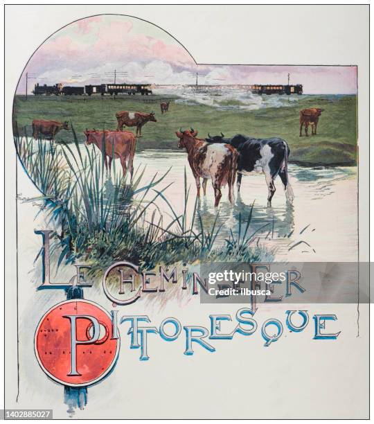 ilustrações, clipart, desenhos animados e ícones de ilustração antiga: trem e vacas - ranch