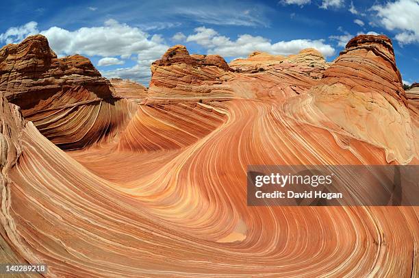 wave in the sun - paria canyon stock pictures, royalty-free photos & images