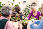 Smiling pensioners are enjoying looking after the potted plants