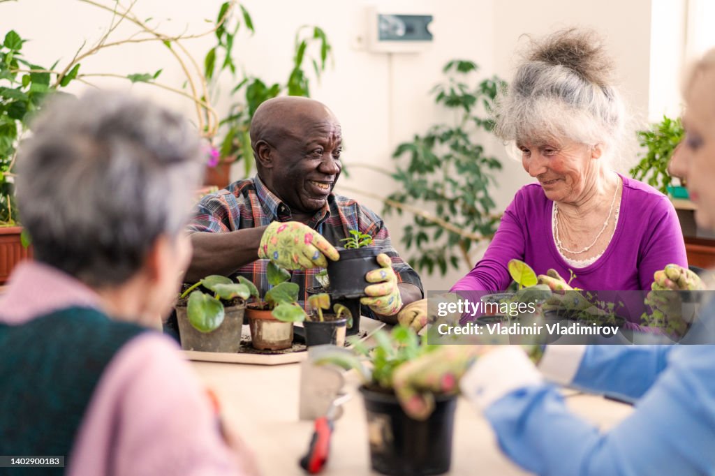 Pensionistas sorridentes estão gostando de cuidar das plantas em vasos