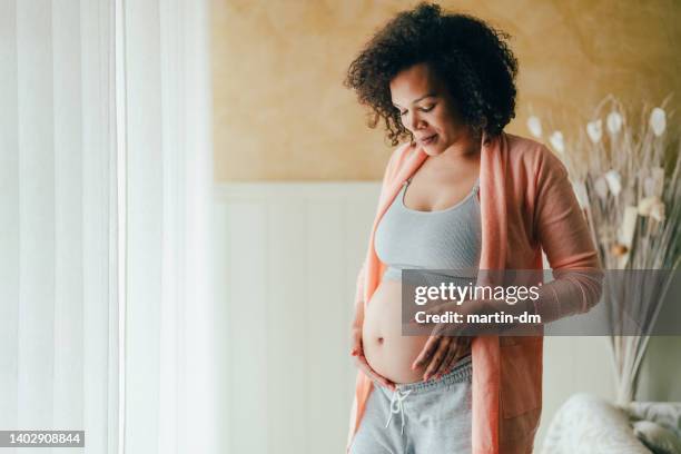 mulher grávida de etnia brasileira - pregnancy - fotografias e filmes do acervo