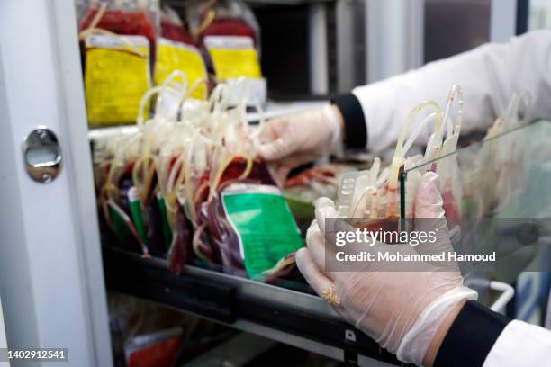 Laboratory technologists collect bags of platelets donated by Yemenis for patients during the World Blood Donation at a blood bank on June 14, 2022...