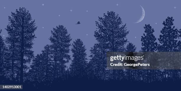 night sky pine trees, moon and stars - astronomy bird stock illustrations