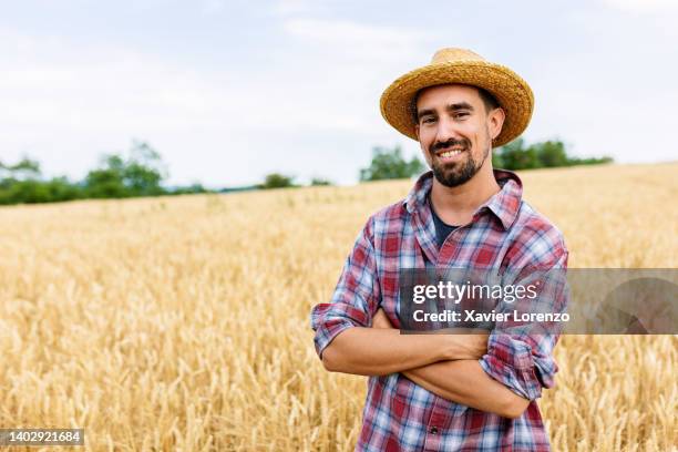 young farmer controlled harvest with crossed arms standing in wheat field - farmer arms crossed stock pictures, royalty-free photos & images