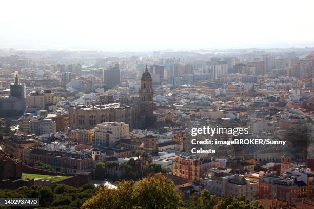 bildbanksillustrationer, clip art samt tecknat material och ikoner med malaga, view from castillo de gibralfaro to the city, old town with cathedral, andalucia, spain - malaga