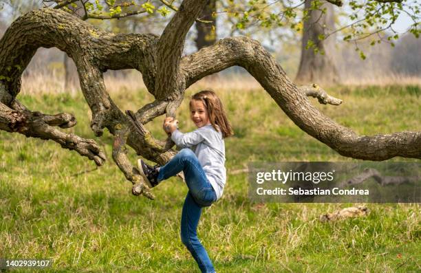 little girl climbing the tree, super vacation, uk - summer super 8 stockfoto's en -beelden