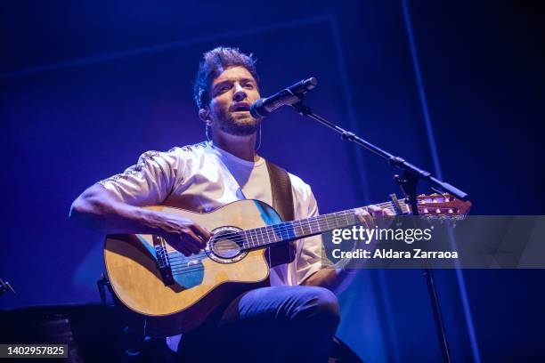 Singer Pablo Alborán performs on stage during Noches del Botanico Festival at Real Jardin Botánico Alfonso XIII on June 14, 2022 in Madrid, Spain.