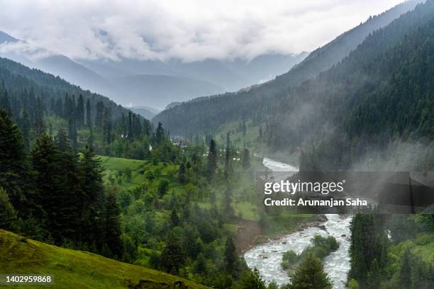 kashmir heaven on earth - floating lake world stock pictures, royalty-free photos & images