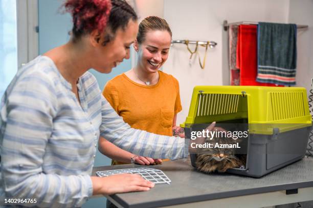 le chat est un animal de compagnie dans une cage dans un salon de toilettage pour animaux de compagnie - pet grooming salon photos et images de collection