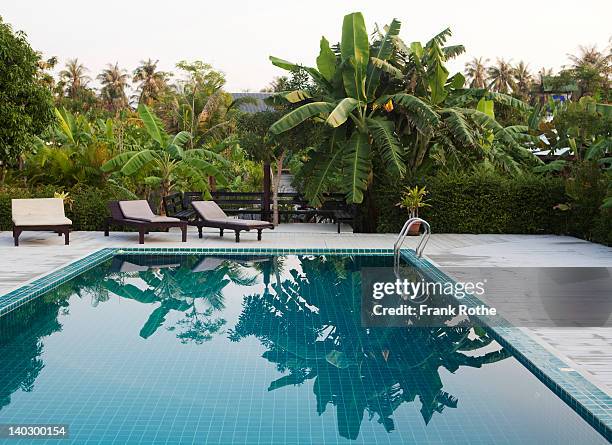 a great looking swimming pool filled with water - poolside stock pictures, royalty-free photos & images