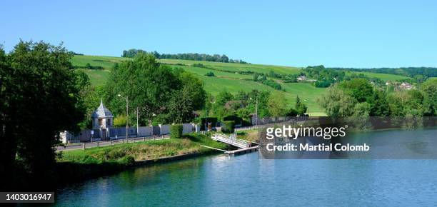 marne river and champagne vineyards - marne 個照片及圖片檔