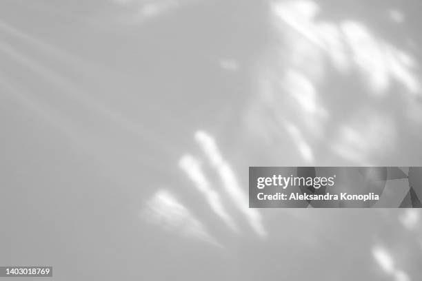 blurred dreamy surreal rainbow light refraction texture overlay effect on white wall - schatten im mittelpunkt stock-fotos und bilder