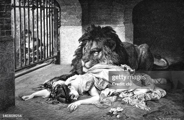the lion's bride - old prisoner stock illustrations