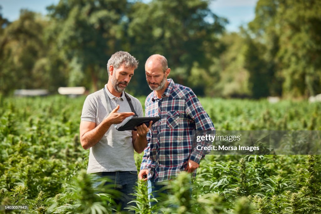 Farmers discussing over digital tablet at farm