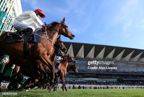 Horses and riders leave the start gates for The Copper Horse Stakes during Royal Ascot 2022 at Ascot Racecourse on June 14, 2022 in Ascot, England.