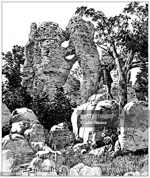 ilustraciones, imágenes clip art, dibujos animados e iconos de stock de ilustración antigua: bois de païolive, ardeche, lucha de leones y osos - lion-fight-drawing