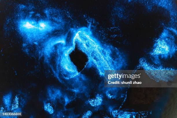 blue light bioluminescence in the sea at night - algae stock-fotos und bilder