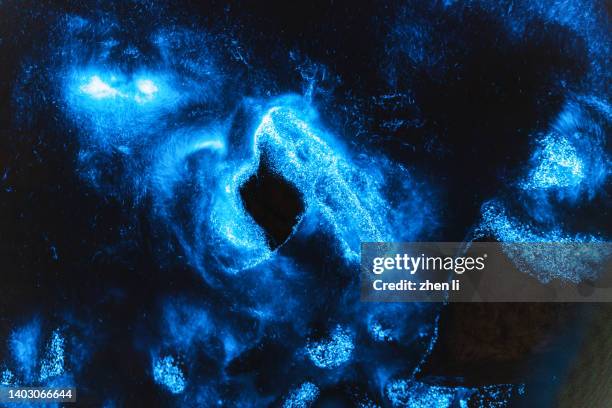 blue light bioluminescence in the sea at night - animal microscópico fotografías e imágenes de stock