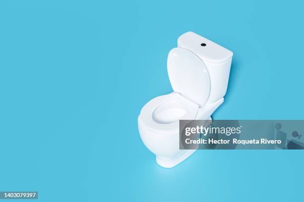 white toilet bowl on blue background, 3d render - bathroom door ストックフォトと画像