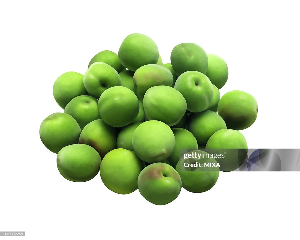Japanese Apricot