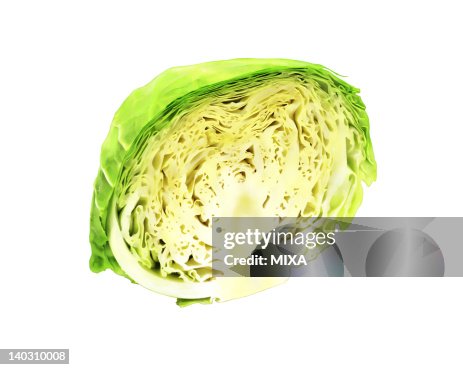 Cabbage Cabbage