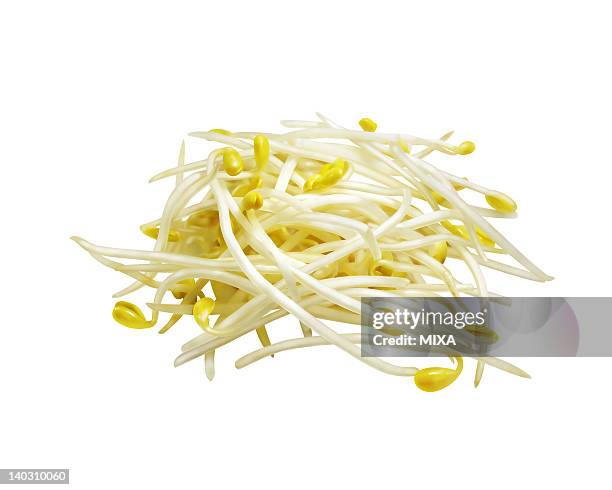 bean sprout - sojabohnensprosse stock-grafiken, -clipart, -cartoons und -symbole