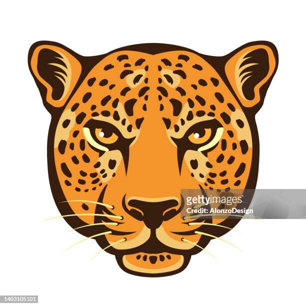 ilustraciones, imágenes clip art, dibujos animados e iconos de stock de retrato de leopardo en primer plano sobre fondo oscuro. logotipo de cabeza de leopardo. - piel leopardo