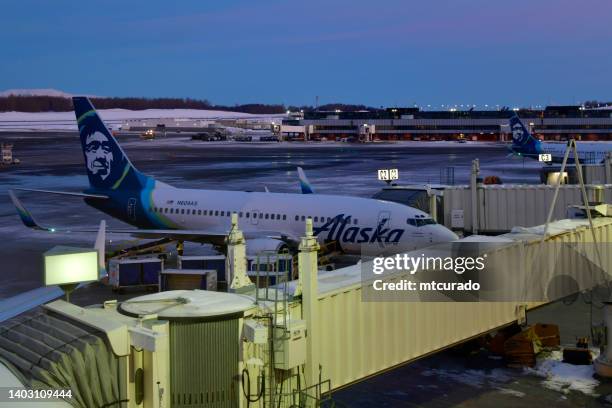 alaska airlines boeing 737 and pbbs, ted stevens anchorage international airport, anchorage, alaska, usa - anchorage airport stock pictures, royalty-free photos & images