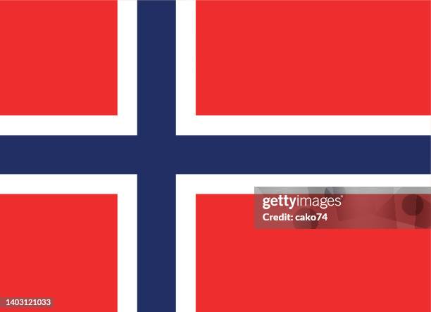 national norway flag - norway flag stock illustrations