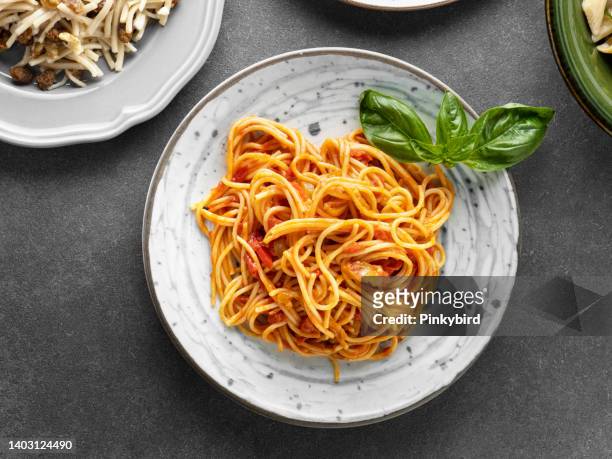 spaghetti, bowl of spaghetti, pasta plate, macaroni - molho bolonhesa imagens e fotografias de stock