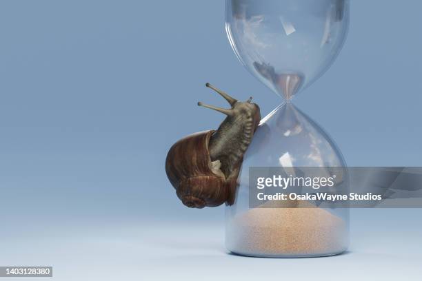 cute snail crawling around hourglasses - snail stock pictures, royalty-free photos & images