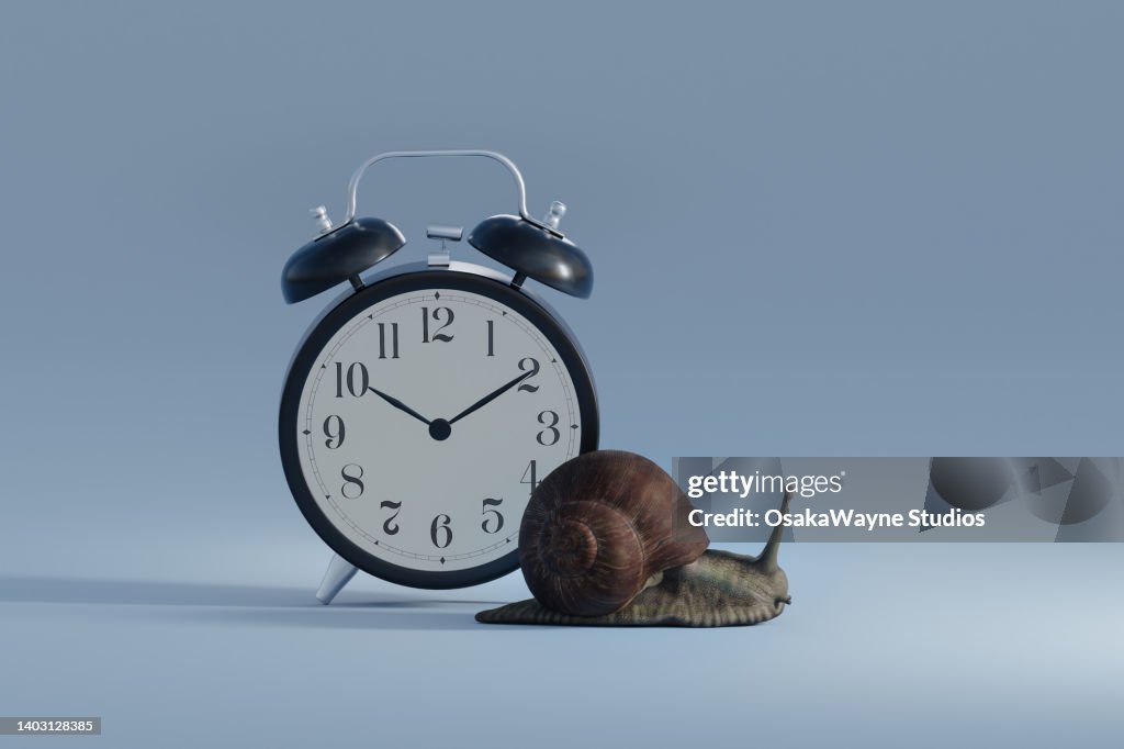 Snail crawling on surface around alarm clock