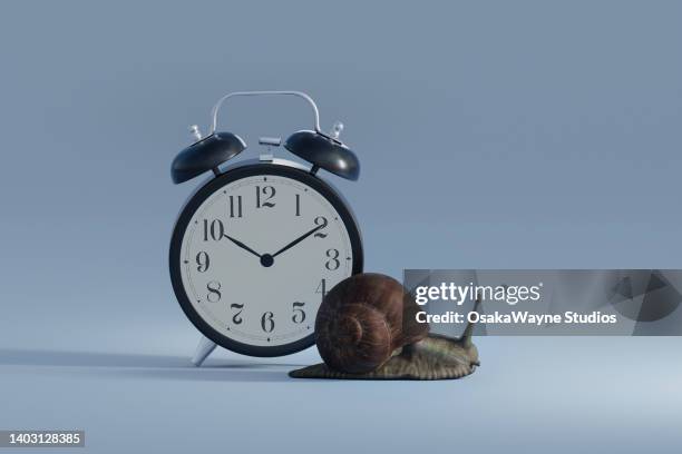 snail crawling on surface around alarm clock - lentezza foto e immagini stock