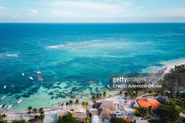 aerial view of the akumal bay in quintana roo, mexico. caribbean sea, coral reef, top view. beautiful tropical paradise beach - tulum stock-fotos und bilder