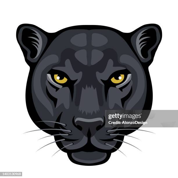 black panther head close up. black leopard head logo. - black panther face 幅插畫檔、美工圖案、卡通及圖標