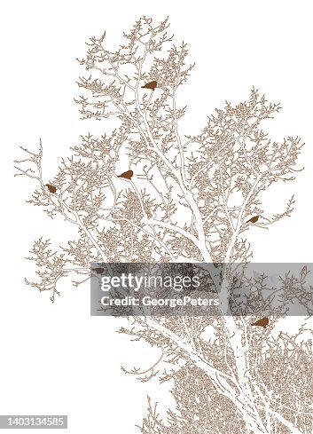 Tree and birds perching Tree and birds perching