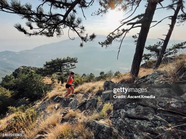 giovane donna cammina su un fianco arido della montagna attraverso la foresta - corsica foto e immagini stock