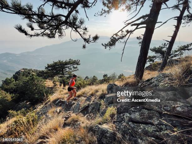 young woman hikes up arid mountain side through forest - corsica bildbanksfoton och bilder